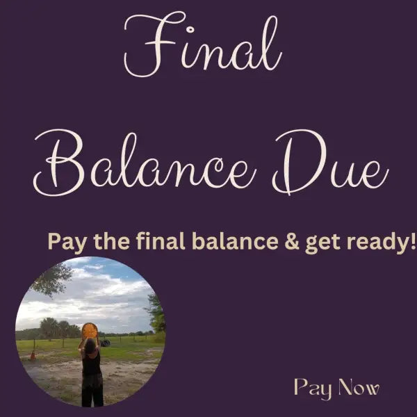 Balance due amount for upcoming Spirit Drum Workshop Frame