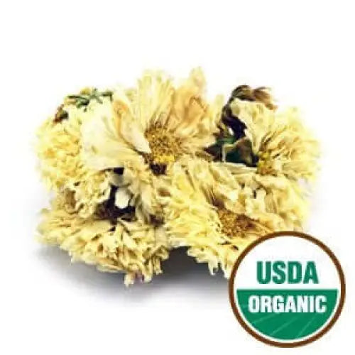 Chrysanthemum (Chrysanthemum morifolium)- 1 oz. - White -