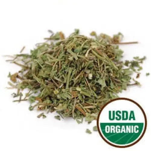 Mental Focus - Gotu Kola (Centella asiatica) - 2 oz.