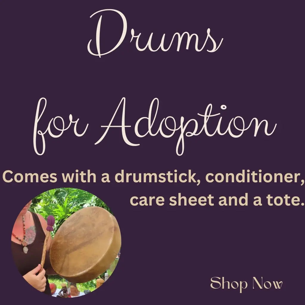 Spirit Drums for Adoption (Shaman Medicine Drums)