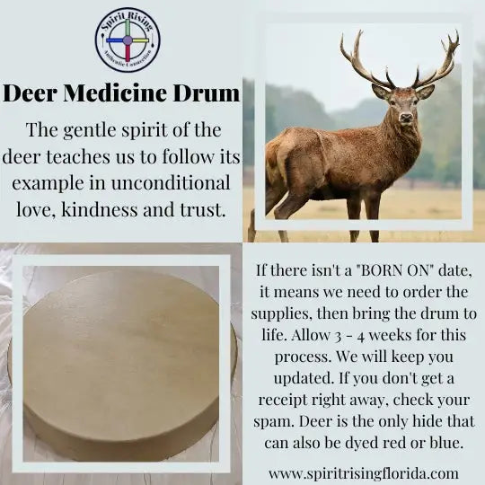 Deer Hide Spirit Drum - Handmade - One of a kind Frame