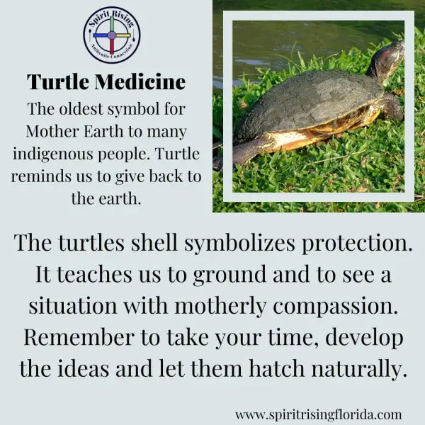 Rattle Turtle Large Rattle Spirit Rising - Rattle Turtle