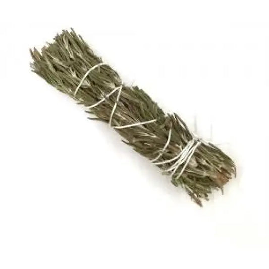 Rosemary smudge stick 3-4’ - Farmed Incense Spirit Rising