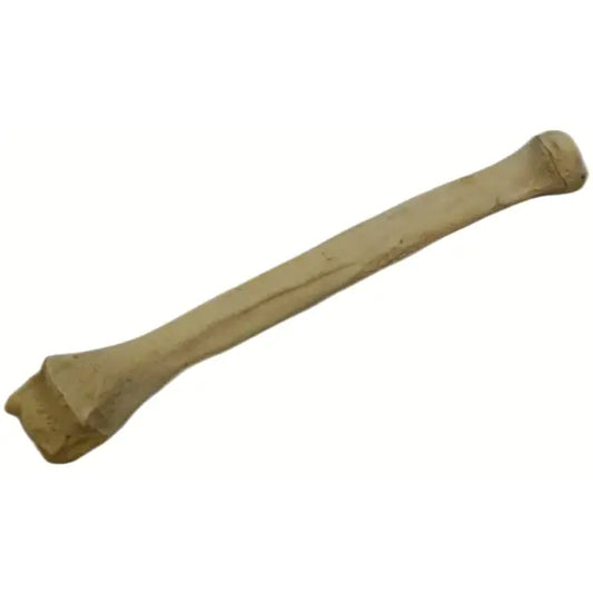 Wolf Tibia Bone (Bleached) Bone Spirit Rising Florida LLC