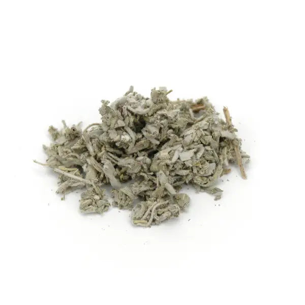Sage Leaf - Salvia officinalis - 2 oz. - Tea & Infusions